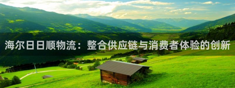 豪门国际反水：海尔日日顺物流：整合供应链与消费者体验的创新