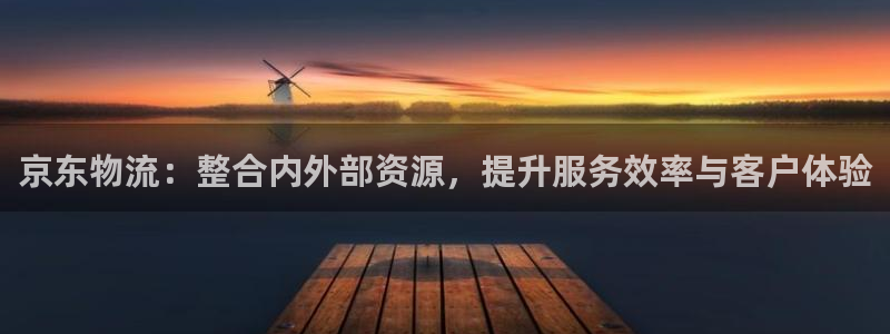 豪门国际怎么下载不了：京东物流：整合