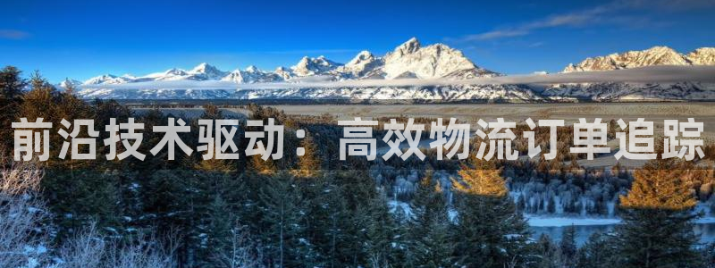 豪门国际官方网站预测：前沿技术驱动：高效物流订单追踪