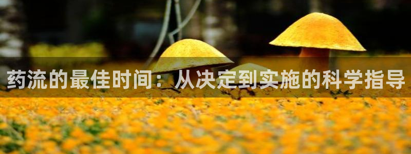 豪门国际官网下载链接是什么：药流的最