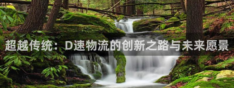 豪门国际网站怎么注册：超越传统：D速