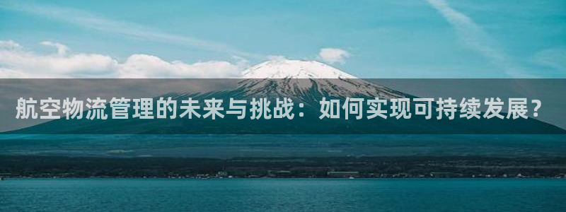 豪门国际赌博软件正规吗：航空物流管理的未来与挑战：如何实现可