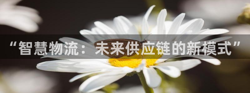 豪门国际提款一直没到：“智慧物流：未