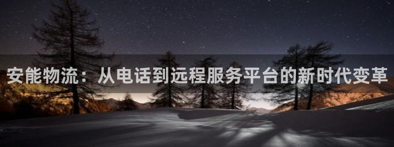 豪门国际玩法：安能物流：从电话到远程