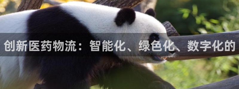 豪门国际网站平台
