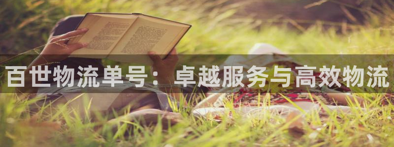 豪门国际官网下载多少：百世物流单号：卓越服务与高效物流